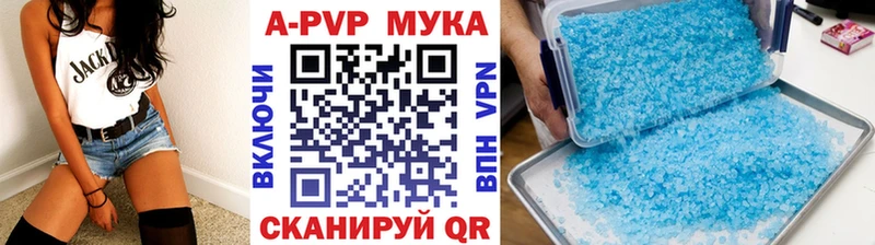 закладки  Пугачёв  APVP СК 
