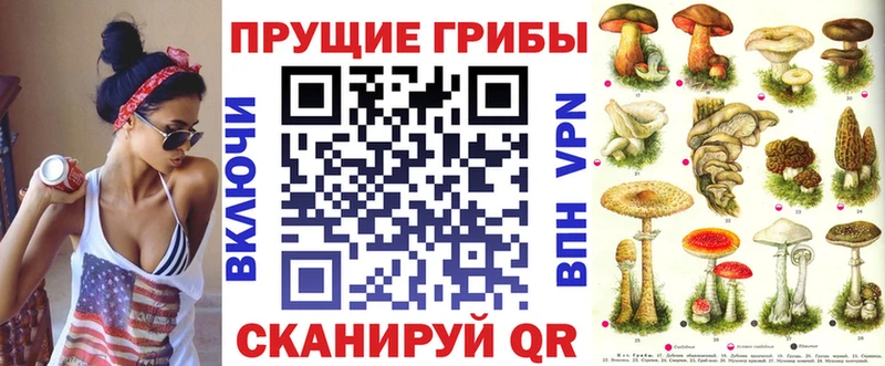 ссылка на мегу рабочий сайт  Пугачёв  Псилоцибиновые грибы Psilocybe 